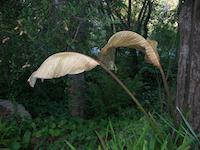 DSCN2633.JPG