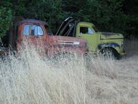 IMG_3391.jpg