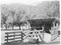 BUI-042p_Miramontes shed.tif