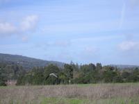 IMG_7882.JPG