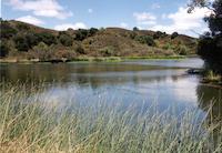 Searsville lake.tif