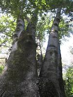 IMG_1399.JPG