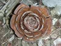 DSCN2218.JPG