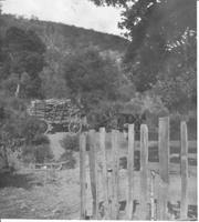 LUM-002c1p_TIF_MSTR.tif