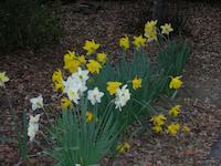 DSCN2388.JPG