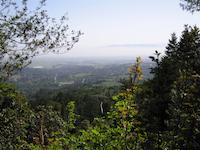 Windy Hill__9181.JPG