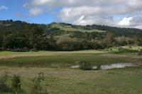 Windy Hill vista.jpg