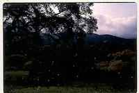 MCC-009d_TIF_MSTR.tif