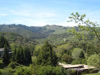 IMG_1441.JPG