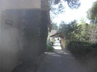 IMGP9226.JPG