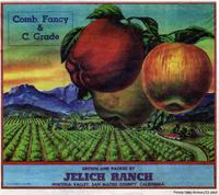 Jelich label.jpg