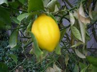 DSCN2626.JPG
