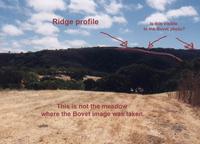 ridge_profile_for_Bovet_View.jpg