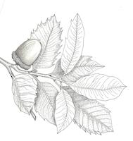 HER-BW-004d_JPG_MSTR.jpg