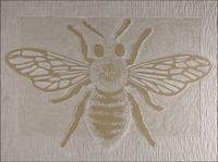 Hymenoptera 1.jpg