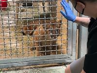 IMG_1373.jpeg