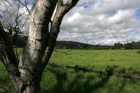 Meadow Portola Rd 5.jpg