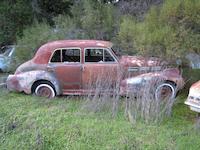 Old cars, Woods 1.JPG