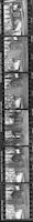 SCH1-091c1p_TIF_MSTR.tif