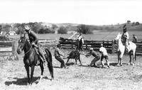 Cattle roping 1921.tif