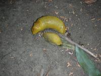DSCN3262.JPG