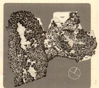 PV Ranch sketch.jpg