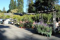 DSC_0264.jpg