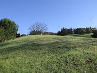 img_001_0153_241  Residence setting.JPG