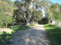 Woodside trace SAF lookng N.JPG