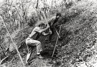 Cutting trail at PVRanch.jpg