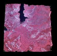 STA-029d Jasper Ridge aerial.tif
