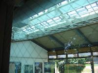 IMG_0292.JPG