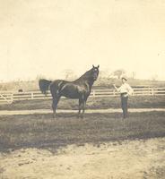 Ormond(true color).tif