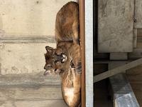 IMG_7041.jpeg