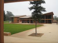 7446.JPG
