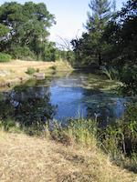 128 lower pond summer.JPG