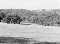 SPR-028c1p_TIF_MSTR.tif
