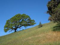 IMG_1417.JPG