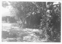 CAT-045c2p_TIF_MSTR.tif