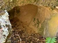 IMG_3427 2.jpeg