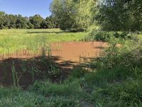 OPE-008d Blue Heron Pond.jpg