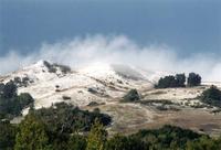 Windy Hill snow Sue Thomas.jpg
