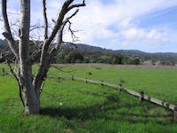 IMG_7883.JPG