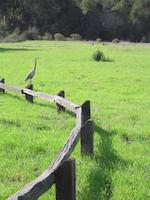IMG_7871.JPG
