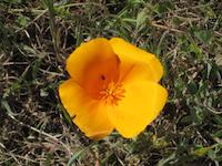 IMG_1373.JPG