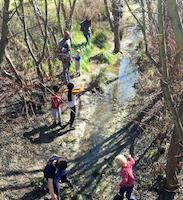 CRE-S-033d Daylighted Creek Activity.jpg
