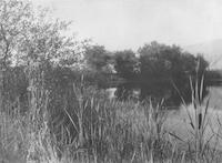 FEL-002c1p_TIF_MSTR.tif