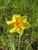 IMG_1224.JPG