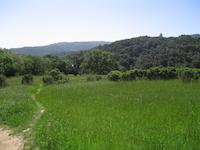 Windy Hill_9225.JPG