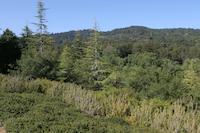 IMG_7180.JPG